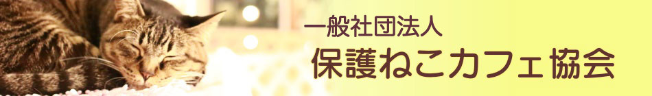 保護猫カフェ協会